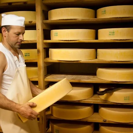 Ideal By A-appartments Appartamento Bürserberg